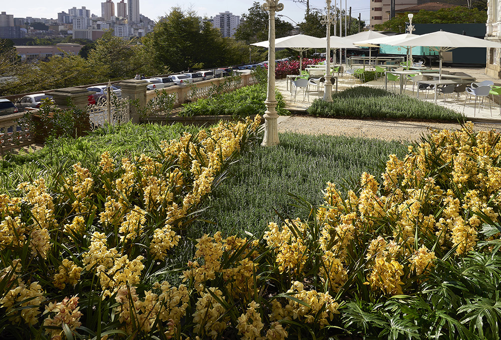 Jardins da Entrada - Carla Pimentel e Marina Pimentel. As plantas poderiam possuir no máximo 80 cm de altura, entre outras regras observadas ao intervir em um patrimônio tombado. Nada que intimidasse a dupla, que pensou na composição colorida e aromática de folhagens, laranjinha Kinkan, Manjericão, Lavanda e outras espécies.