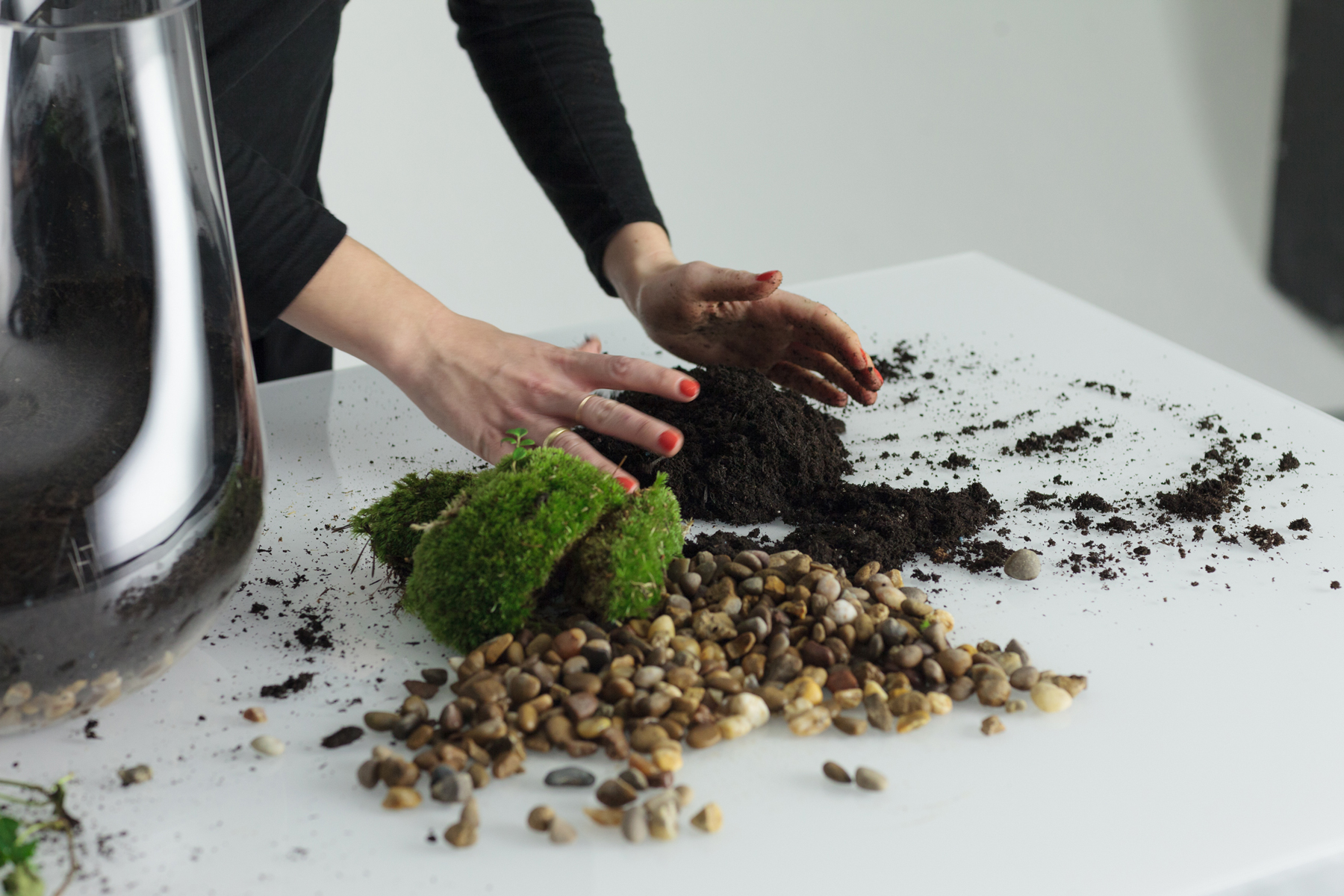 4. Retire a maior planta do seu recipiente e remova a terra das raízes. Se preferir, você pode querer cortar as raízes para que elas não fiquem muito longas.