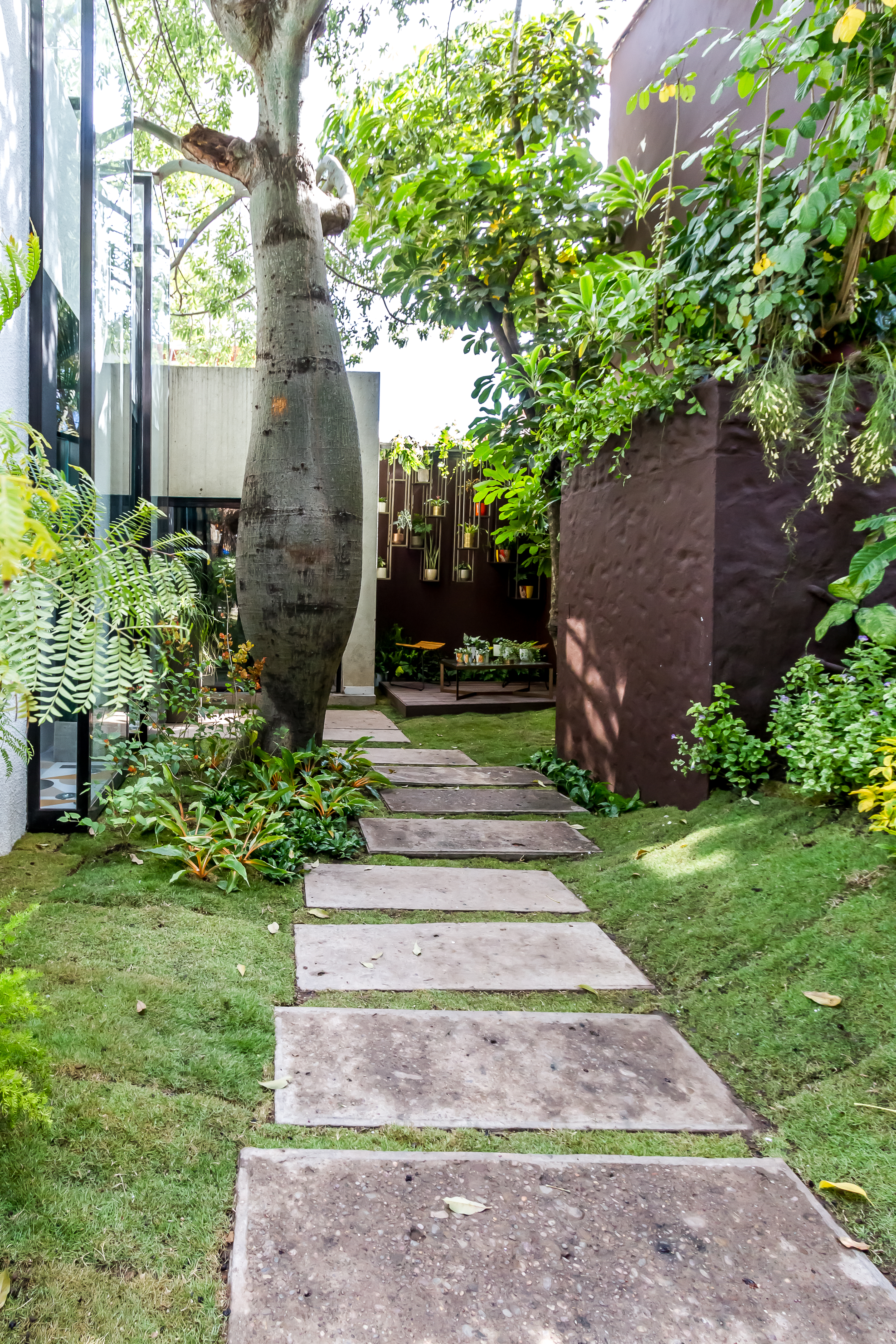 Jardín Del Toborochi - Claudia Moreno e Claudia Nuñez. Nada mais atraente do que a sombra de uma árvore em um dia quente. O espaço então recria a sensação de frescor e bem-estar no contexto de uma pequena floresta úmida. Com espírito sustentável, traz elementos reaproveitados e um deck em madeira ao fundo, composto por 30% do material reciclado.